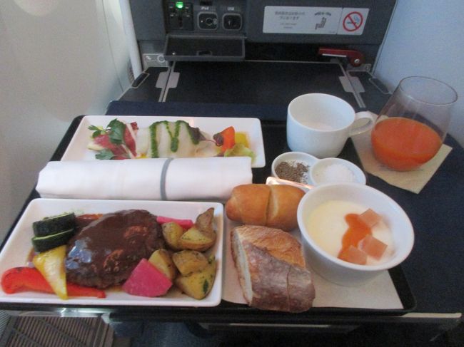機内食は、洋食にしました。ハンバーグでした。デザートのピエールエルメもおいしかったです。
