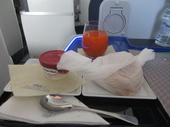 到着前に軽食として、ハーゲンダッツと、パニーニをいただきました。