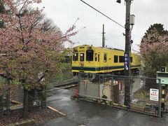 大多喜駅に到着です。いすみ鉄道でちょうど半分のところにある駅で、駅舎もしっかりとしています。操車場も備わっているようで、こちらに止まっていた車両と桜を一緒にパシャリ。うーんやっぱり雨が残念。でもこれだけすんなりと人の映り込みのない写真が撮れるのはこの日ならではなのかもしれません。