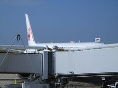 搭乗時刻が近づいてきましたのでD15番搭乗口へ！

機材は、B787-9。
機体番号:JA864J。