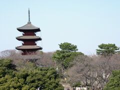 五重塔の南側にある大田区立池上会館の屋上庭園へ移動。
そこからの五重塔の眺めも素晴らしかった。
桜の季節は、とても美しい景色が見られることだろう。