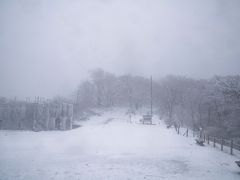 山頂に着くと、想像したより遙かにすごい天気だった。
特にケーブルカーの終点であるコマ展望台では植物も少なく、普段でも風がとりわけ強い。そこは本当に吹雪の中を歩いていた感じだった。