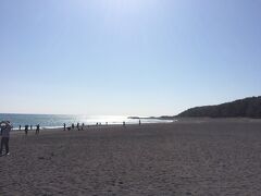 自転車を駐輪場に置き、徒歩で松原、海岸へ。