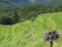 早速、瀞峡へ！
と思っていたのですが、瀞峡へ向かう船が思ったより混雑しているらしく2時間待ちといわれ(;'∀')

切り替えてこのあたりの観光地をうかがうと、「丸山千枚田」という場所があるらしく向かってみることに！そこには美しい風景が！