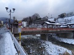 渋温泉に着いたヨ。

地元のおサルさんたちも大好きな温泉。
今度はワタシ達が温泉につかる番だヨ！