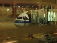 羽田空港17:05にスポットイン。
４レグに渡った中国国際航空での空の旅もこれで終了。
感傷に更けるヒマなく優先降機で追い立てられるようにターミナルへ。

もうちょっとゆっくりして旅を終えたかったな。
