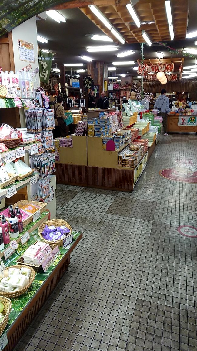 シンガポールだったのに コロナのせいで九州に変更 別府温泉 大分県 の旅行記 ブログ By Mireiraさん フォートラベル
