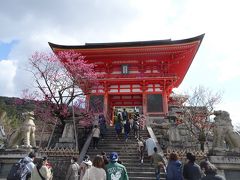 続いてやってきたのは清水寺

仁王門