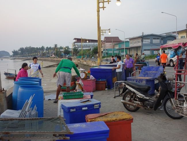 6：37　　この時刻になると漁師が沖から獲物を抱えて戻ってきます。