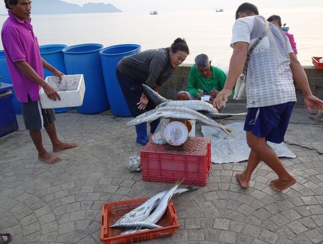 パタヤでも魚市場で見かける長い大きな魚。