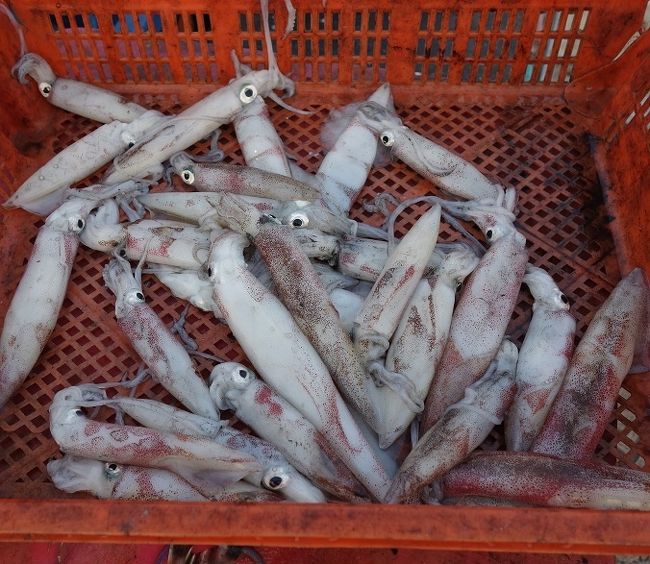 これをください3Kg　180B×3=540B　≒　1900円