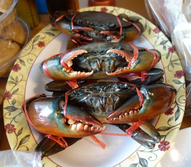 プラチュワップキーリーカンの市場で買ったマングローブ蟹<br />500B　≒　1750円