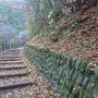 払沢の滝と浅間嶺登山