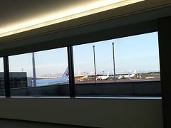 成田国際空港