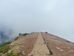 駐車場を降りて登山口に行く。こんな感じ。雲で見えなくなってますが、多くのハイカーたちが歩いてます。

ここは、こんな感じで整ってるのではありますが、奥に行きたい場合はちゃんとした靴があった方がいいです。階段も多いので、スティック使ってる人も多かったです。制覇しに来てる人たち（服装などで判断）は最後本当に辛そうな表情で戻ってきてたので、ちゃんと食べ物飲み物も持って、朝のうちから歩き始めないとと思いました。ちなみに、登山口にビルがあって、食事、買い物、お手洗いなどできます。