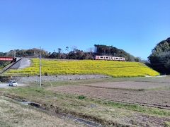 ＪＲ日豊線の八坂川に架かる八坂鉄橋の菜の花