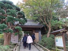 【お寺① 報国寺】
拝観時間: 9:00-16:00
拝観料: 300円

いざ潜入！