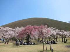 大室山の麓、「さくらの里」