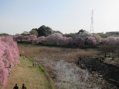 常陸風土記の丘