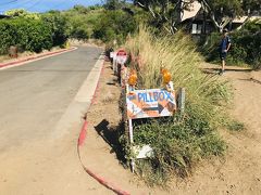 暑すぎて既にグッタリでしたが、ハイキングスタート