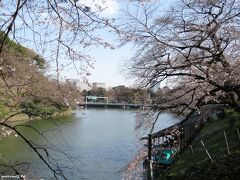 千鳥ヶ淵緑道ボート場

千鳥ヶ淵ではボートに乗ってお花見をする人が多いのですが、
新型コロナの影響でボート営業はお休みでした。