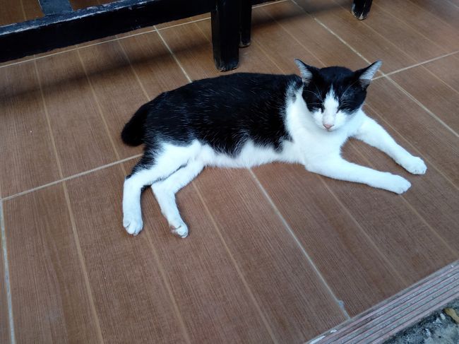 呆れてるのですか!?