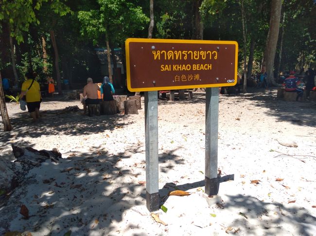 ←というビーチです。