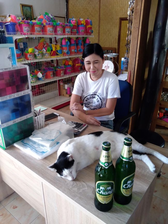 その後はいつもの商店で<br />Changを購入。<br />猫がマターリ　笑