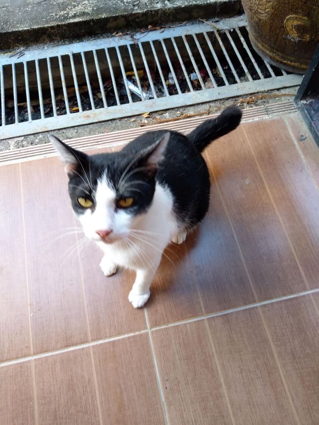 また怒ってる？