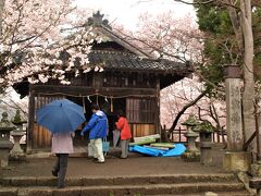 城址公園内に鎮座している新城藤原神社

ー高遠城址公園の小彼岸桜ー
