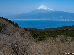 修禅寺を後にして、向かったのは、西伊豆富士山ビューコース。伊豆半島の西側は、富士山が見えやすいのが特徴。富士見ポイントを巡ります。
まず訪れたのは、だるま山高原レストハウス。人が少ない割には、駐車場はいっぱいでした。