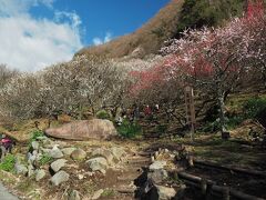 湯河原梅林入口。