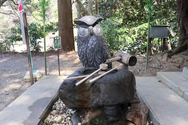 幸運を運んでくれる日本一の大フクロウ・鷲子山上神社を参拝して
