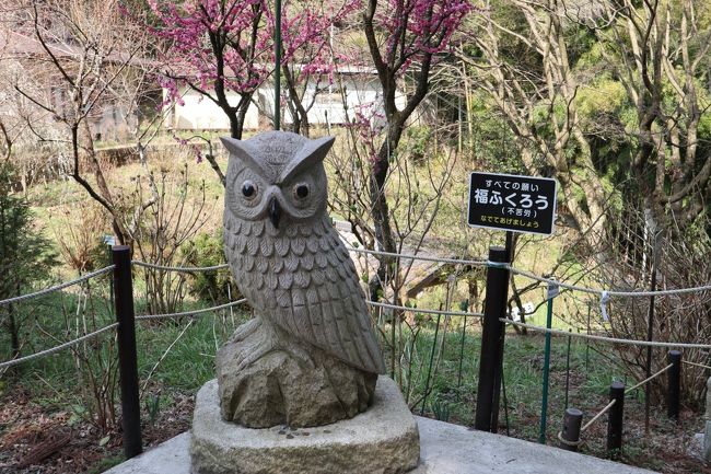幸運を運んでくれる日本一の大フクロウ 鷲子山上神社を参拝して那珂湊おさかな市場へ 大田原 黒羽 那珂川 栃木県 の旅行記 ブログ By Comodoさん フォートラベル