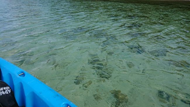 澄んでいるので底がクリアに見えます。