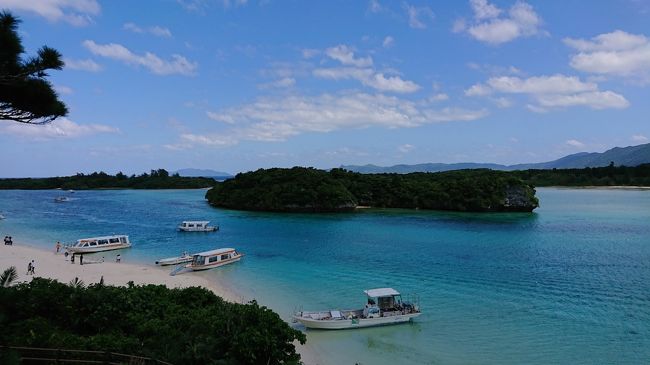 シュノーケリング終わって展望台へ。ここからも綺麗だけど、やはり実際に中に入るとより綺麗です。