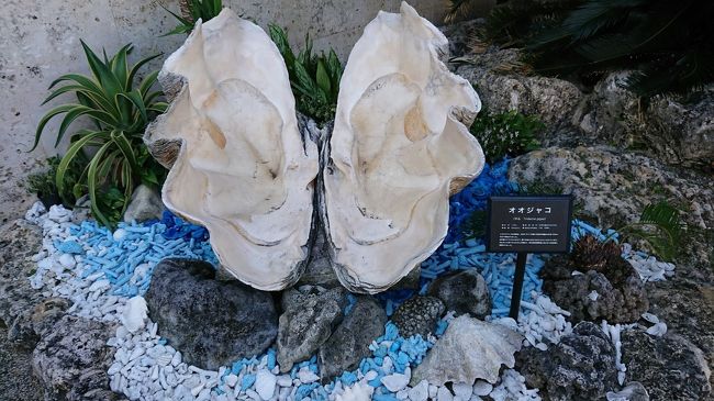 立派なシャコ貝が空港の外に飾られています。