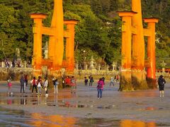 たまたま干潮時だったので、今回は大鳥居に触れました。