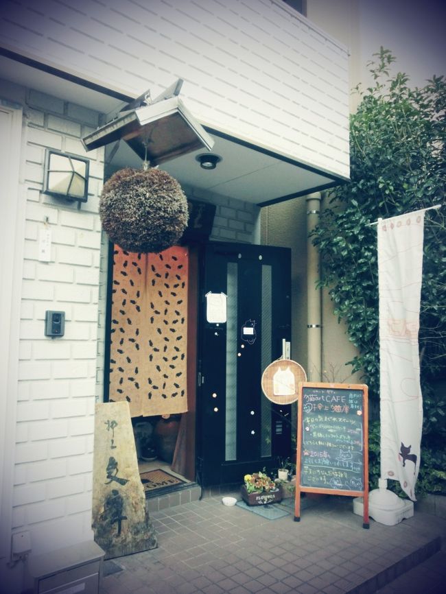 猫好きにはたまらにゃ い穴場カフェだにゃん Fwf 浅草 東京 の旅行記 ブログ By ヒサッチ クニさん フォートラベル