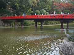 ●天王寺公園

河底池にかかる橋、「わけばし」です。
たくさんの人が、写真を撮っていました。
外国人が好きそうな、日本の風景ですね。