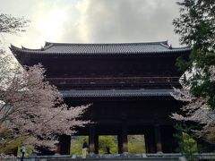 歩いてすぐの南禅寺に時間があるので来てみました。
とはいえ境内を廻るほどの時間はないので桜をみて岡崎疎水へ向かいます。