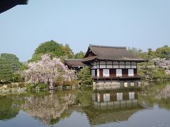 平安神宮東神苑の栖鳳池の枝垂桜と尚美館。
