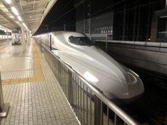 この日は少し遅め

三島　20：54　⇒　東京　21：48　こだま748号

無論今回もマスクに除菌シート持参で自己防衛中