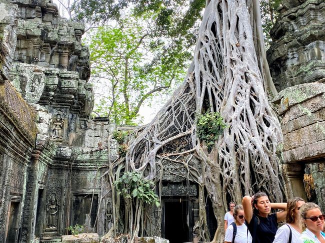 遺跡の側面に根を大きく張る樹<br /><br />人気の撮影スポット<br />ここだけは、順番待ちして記念撮影しました。<br />個人の記念撮影は、何とか出来たけど人のいない撮影は困難（笑）<br />
