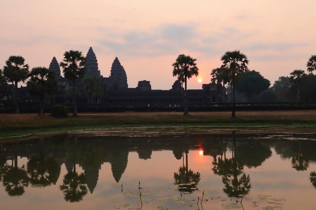 聖池に走って戻って　カメラを構えます。<br /><br />人もいないのでもちろん最前列から<br />聖池に映る逆さアンコールワットと太陽と共に撮影出来ました！<br /><br />感激です！！<br /><br />欲を言えばもう少しアンコールワットの塔の近くから昇って欲しかったです。<br />「一生に一度」と思って来たアンコールワットだけど　また来たいな～（笑）