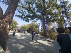 加藤神社です。そこそこの人出ですが、隣国等の団体さんなどの姿はなく、静かに神社の清澄な空気を味わいました。

密集クリアー。