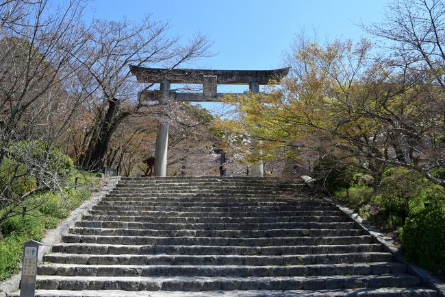 鬼滅の刃 絵馬がズラリの竈門神社 大宰府 福岡県 の旅行記 ブログ By Sakoさん フォートラベル