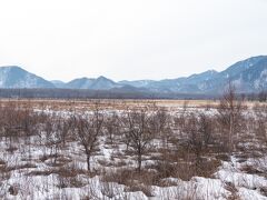 こちらは戦場ヶ原、ここも雪が少なくて思っていたのと違う・・・。
いつかスノーシューで凍っている滝を見に行きたいな～（多分今年はだめですね）