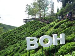 3日目！
朝食をホテルで済ませ9時半頃、BOH Teaの茶畑センターへ。
BOH Teaは90年以上創業を続けるマレーシア随一の紅茶メーカーです。その茶畑及びビジターセンターがキャメロンハイランド にあります。
