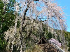 国指定重要文化財 高麗家住宅
https://www.city.hidaka.lg.jp/culture_sports/8/3577.html

境内の奥に行くと指定重要文化財「高麗家住宅」がある。
